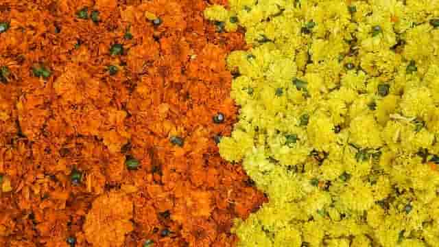 Victory on devil Durga Puja | विजय का पर्व 5 pushpanjali-ashtami-durga-puja