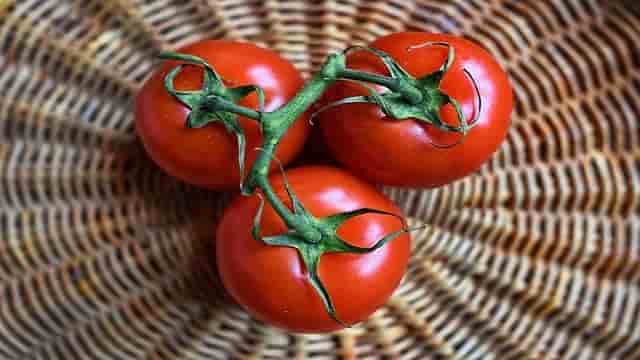 4 Amazing fruit face pack | फ्रूट फेस पैक 4 tomato-fruit-face-pack