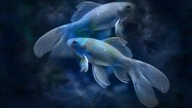 Shani Prabhav makar kumbh meen 2020-2023 3 shani-prabhav-makar-kumbh-meen-2020-2023