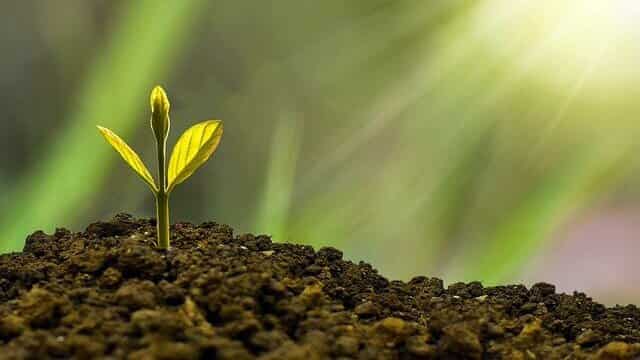 November birth prediction | नवंबर जन्म 3 november-born-wealth