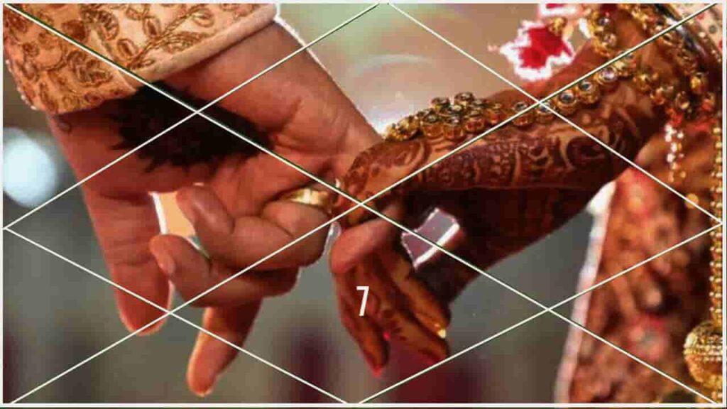12 Zodiac houses in the birth chart 3 seventh-house-partnership-and-marriage